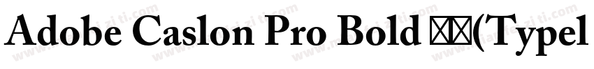 Adobe Caslon Pro Bold 租体(Typel)西方字体转换